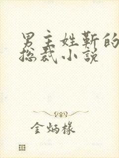 男主姓靳的霸道总裁小说