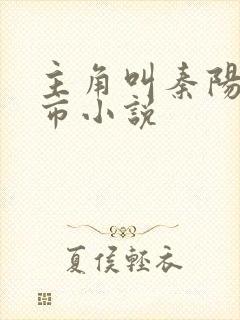 主角叫秦阳的都市小说