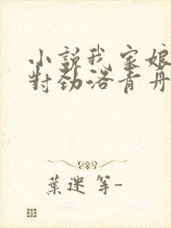 小说我家娘子不对劲洛青舟免费全集