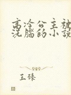 高冷公主被催眠洗脑的小说