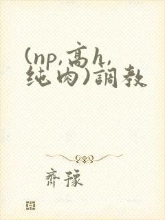 (np,高h,纯肉)调教