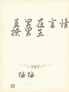 直男在言情文里撩男主