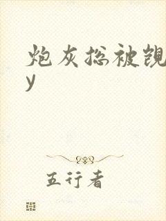 炮灰总被觊觎by封面