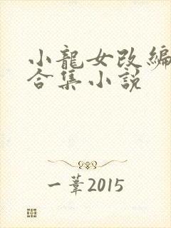 小龙女改编系列合集小说封面