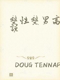 双性双男高h小说