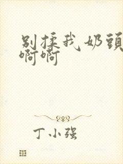 别揉我奶头了啊啊啊