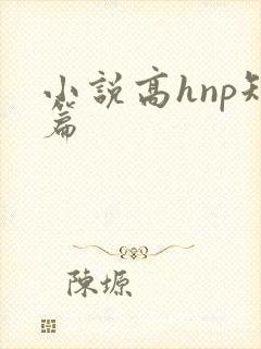 小说高hnp短篇封面