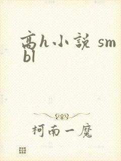 高h小说 sm bl封面