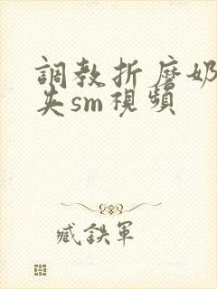 调教折磨奶头乳夹sm视频