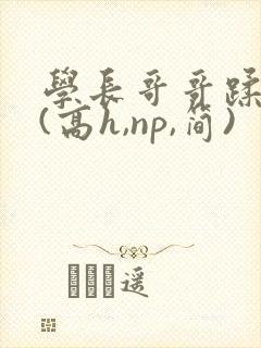 学长哥哥蹂躏你(高h,np,简)