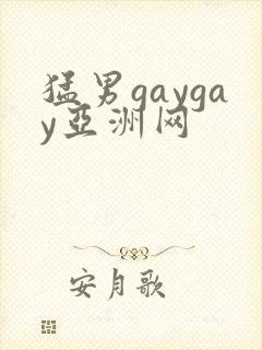 猛男gaygay亚洲网封面