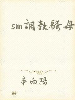 sm调教骚母狗