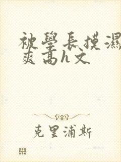 被学长摸湿奶好爽高h文