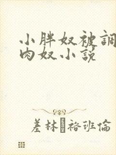 小胖奴被调教成肉奴小说