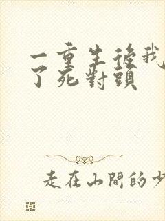 一重生后我嫁给了死对头