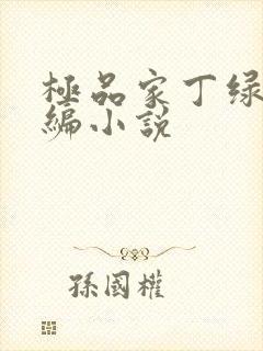 极品家丁绿帽改编小说