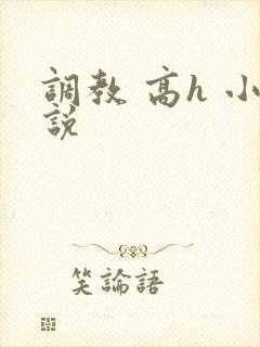 调教 高h 小说