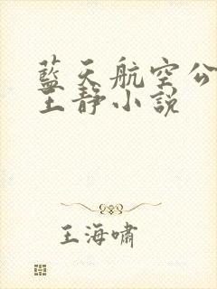 蓝天航空公司的王静小说