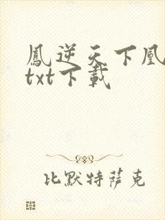 凤逆天下凰北月txt下载