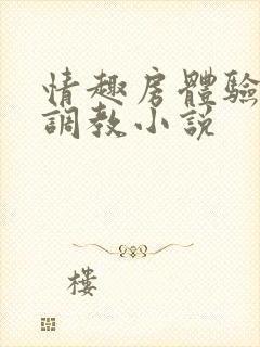 情趣房体验sm调教小说