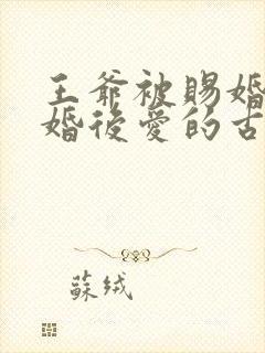王爷被赐婚的先婚后爱的古言小说
