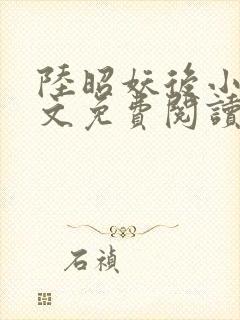 陆昭妖后小说全文免费阅读封面