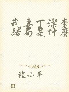 我妻丁洁李静大结局是什么封面