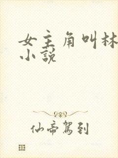 女主角叫林静的小说