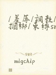 /羞辱/调教/捆绑/束缚sm在线