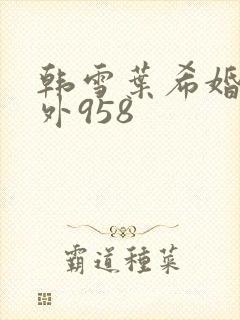 韩雪叶希婚后番外958