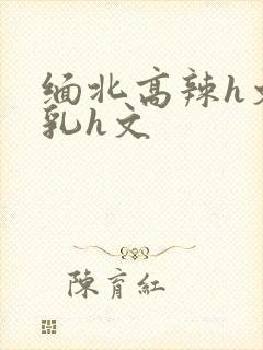 缅北高辣h文乱乳h文