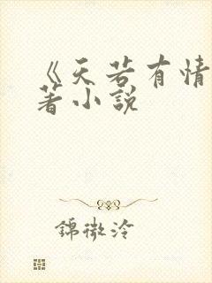 《天若有情》原著小说