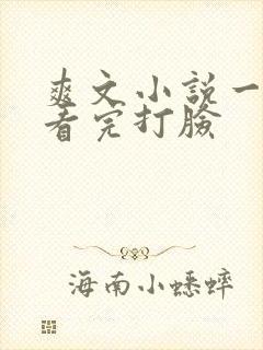 爽文小说一口气看完打脸