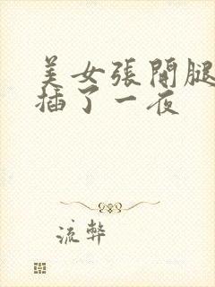 美女张开腿让我插了一夜