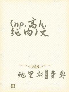 (np,高h,纯肉)文