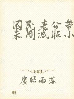 国民老公带回家未删减版小说