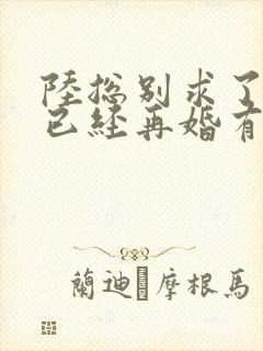 陆总别求了夫人已经再婚有娃了