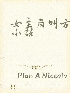 女主角叫方晴的小说