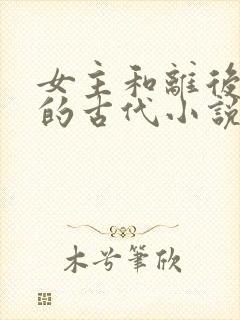 女主和离后二嫁的古代小说