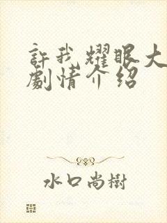 许我耀眼大结局剧情介绍