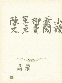 陈军柳爷小说全文免费阅读最新章节封面