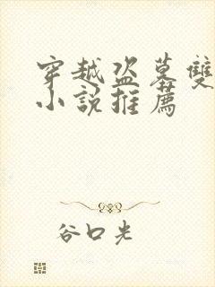 穿越盗墓双男主小说推荐