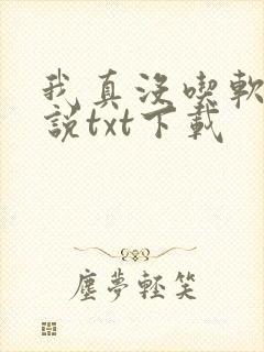 我真没吃软饭小说txt下载