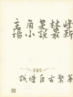 主角是林峰的官场小说最新章节更新内容