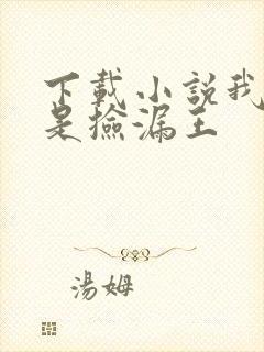 下载小说我真的是捡漏王