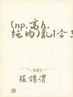 (np,高h,纯肉)乱l合集