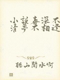 小说春深不归客清梦不相逢免费阅读