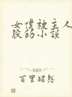 女仆被主人打屁股的小说