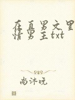 在直男文里撩言情男主txt