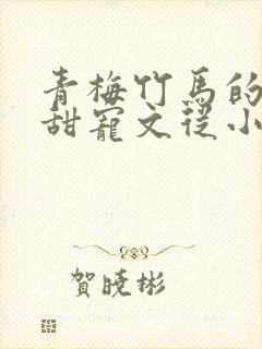 青梅竹马的小说甜宠文从小到大封面